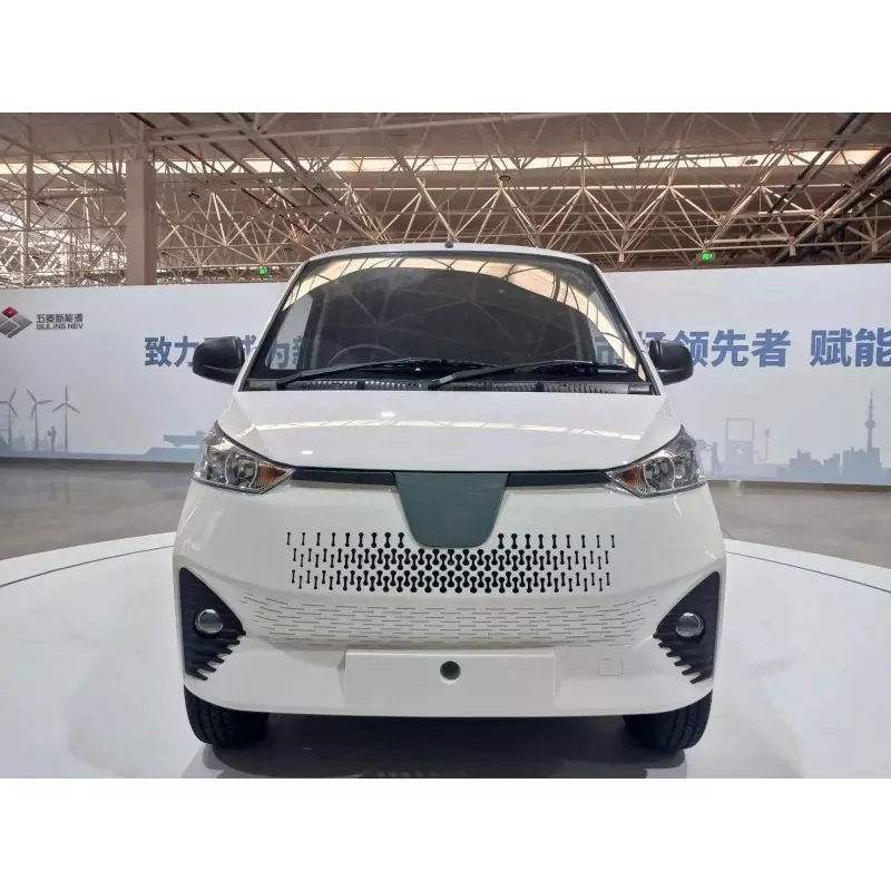 Qu’est-ce qu’une mini-fourgonnette électrique ?