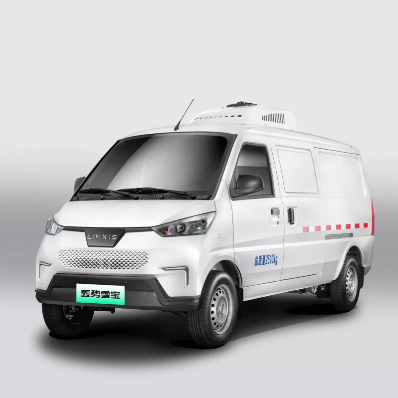 WULING EV Fourgon