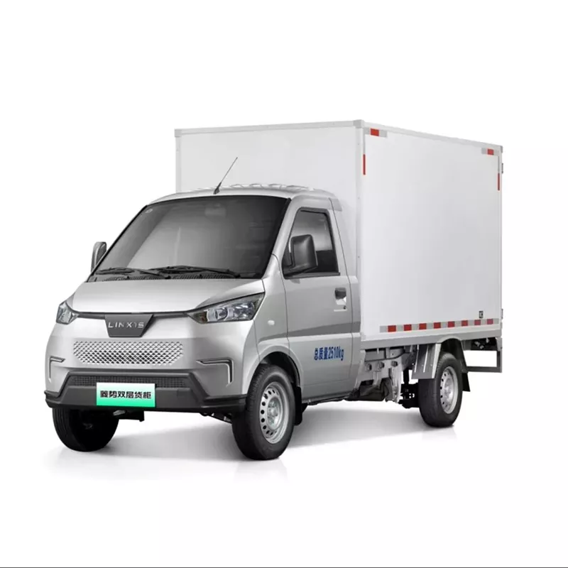 Camion NEV biplace